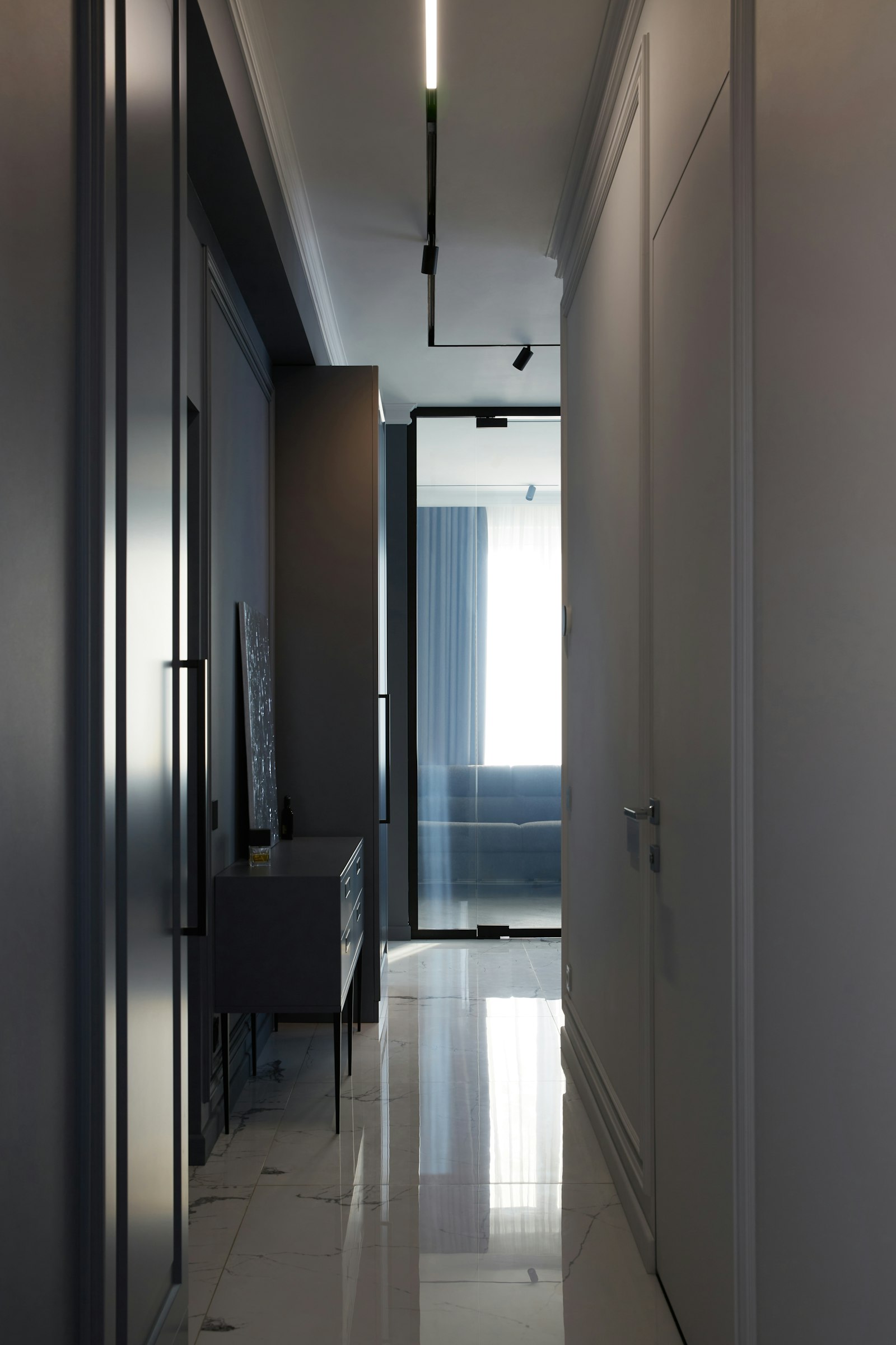 Dark modern entrance passage with a slim console, track lights and a glass door