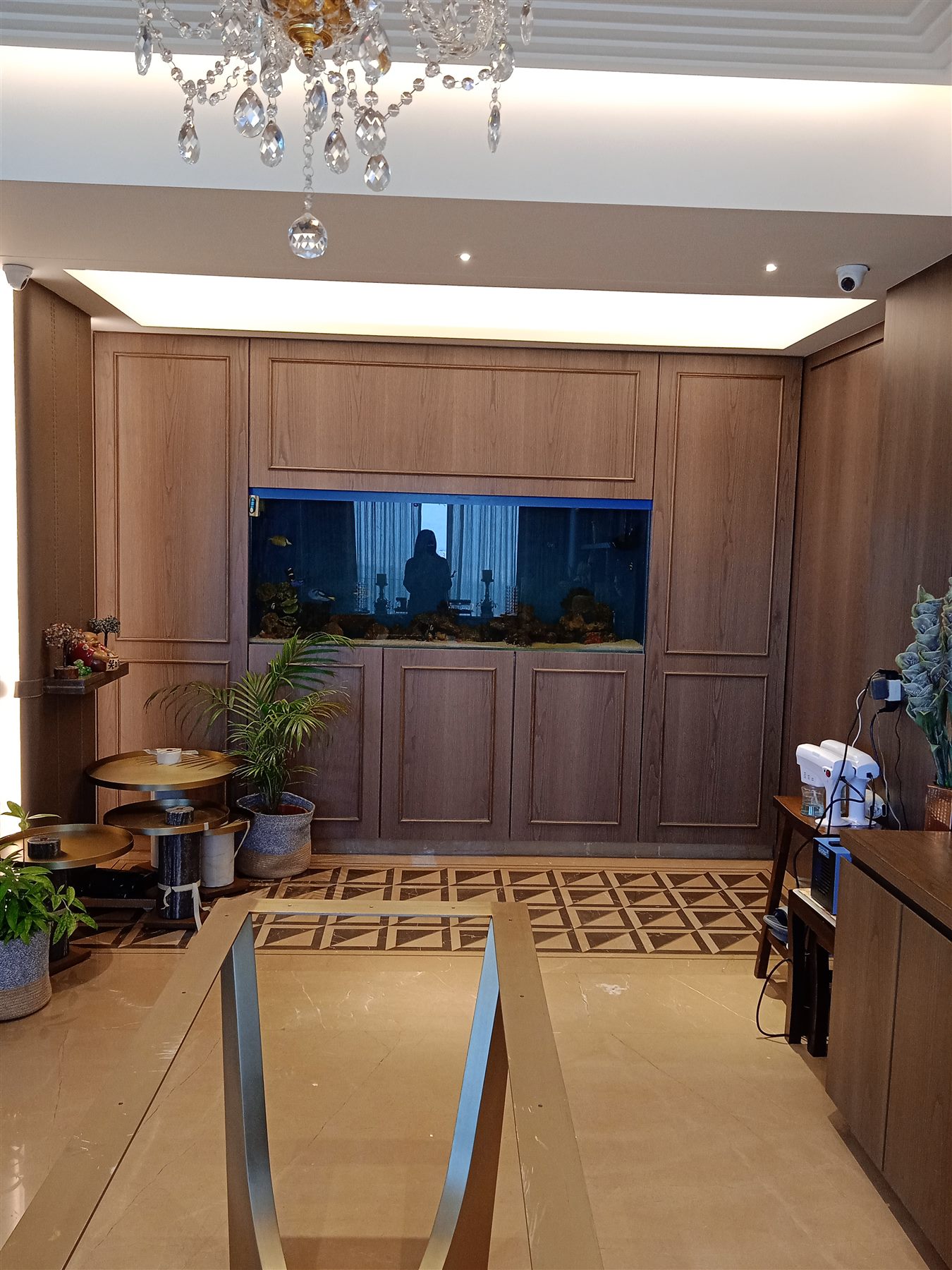 Veneer-panelled wall with built-in aquarium